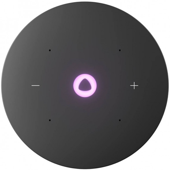 Умная колонка Яндекс Станция Мини 3 Про с Алисой с Zigbee, серый в Перми