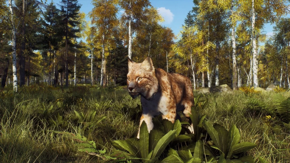 Игра Way of the Hunter: Wild Expeditions [PS5, русские субтитры] в Перми