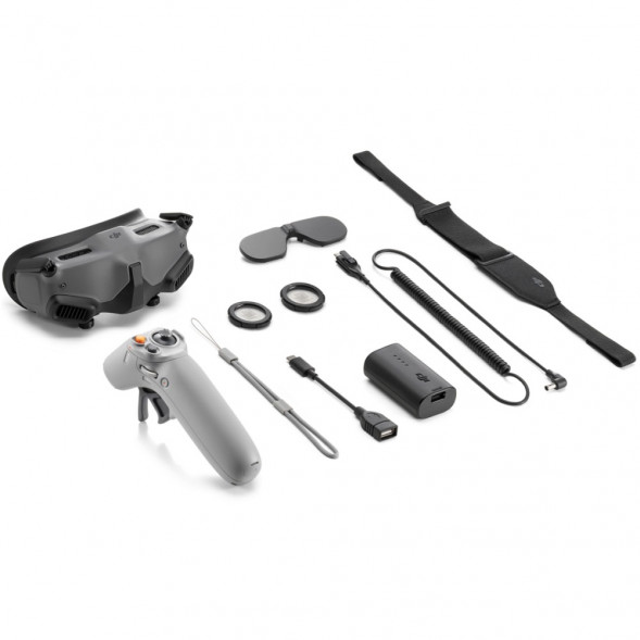 DJI Goggles 2 Motion Combo (DJI RC Motion 2) в Перми