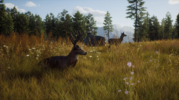 Игра Way of the Hunter [PS5, русские субтитры] в Перми