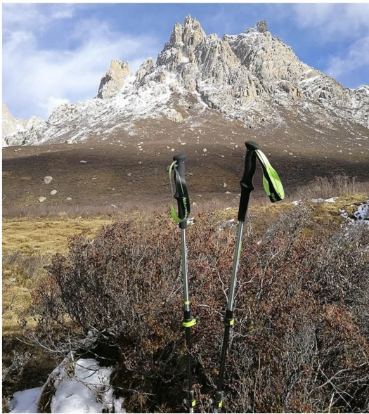 Треккинговая палка Naturehike 135 см, 1шт., серый/зеленый в Перми