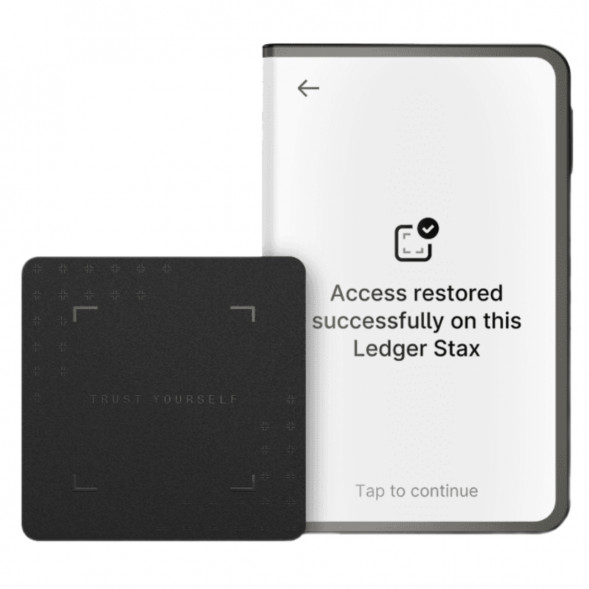 Аппаратный холодный криптокошелек Ledger Stax c чехлом Magnet Shell Black + Recovery Key в Перми