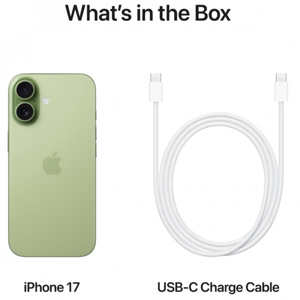 Смартфон Apple iPhone 17 512GB eSim, Sage в Перми