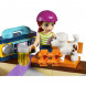 Конструктор LEGO Friends 41099 Скейт-парк в Перми
