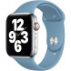 Ремешок для Apple Watch 44mm Northern Blue Sport Band (MYD32ZM/A), скандинавский синий в Перми