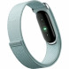 Фитнес-браслет Google Fitbit Air (Серо-голубой/Fog) в Перми
