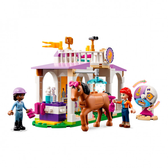Конструктор LEGO Friends 41746 Horse Training в Перми