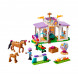 Конструктор LEGO Friends 41746 Horse Training в Перми