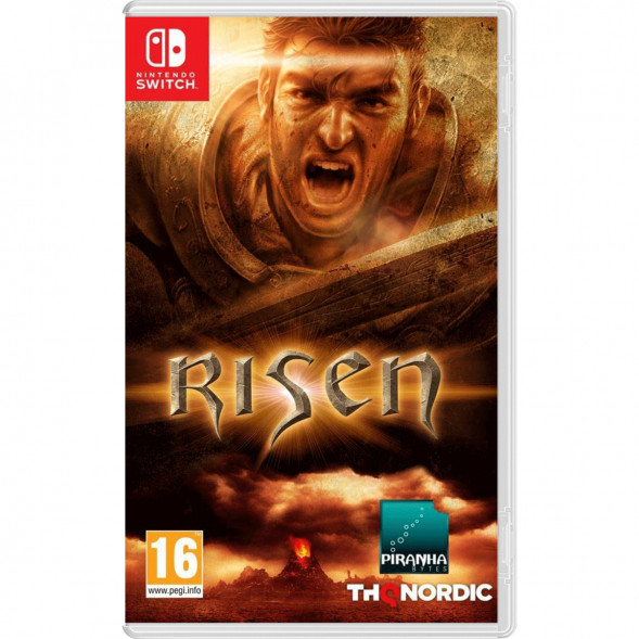 Игра Risen [Nintendo Switch, русская версия] в Перми