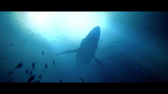 Игра Under The Waves [PS4, русские субтитры] в Перми