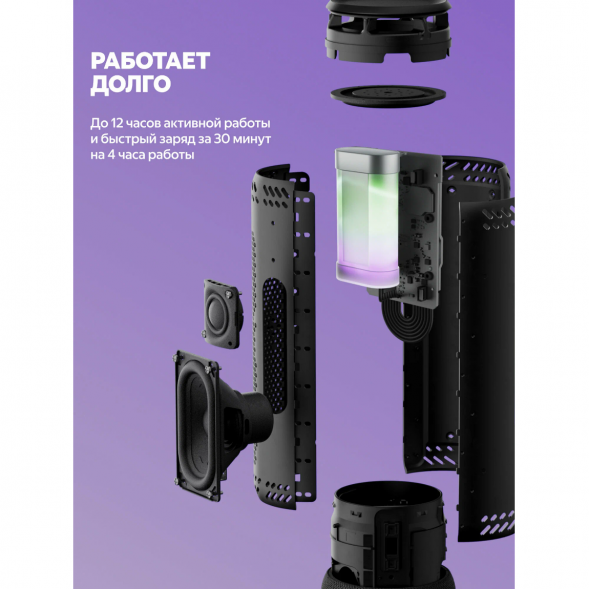 Умная портативная колонка Яндекс Станция Стрит с Алисой, черный в Перми