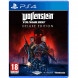 Игра Wolfenstein Youngblood Deluxe Edition [PS4, русская версия] в Перми