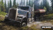 Игра Spintires: MudRunner American Wilds [Nintendo Switch, русские субтитры] в Перми